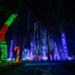 088_0008_C41U1008_JackGoras-scaled