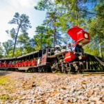 NFP_Outdoors_A80U1589-scaled