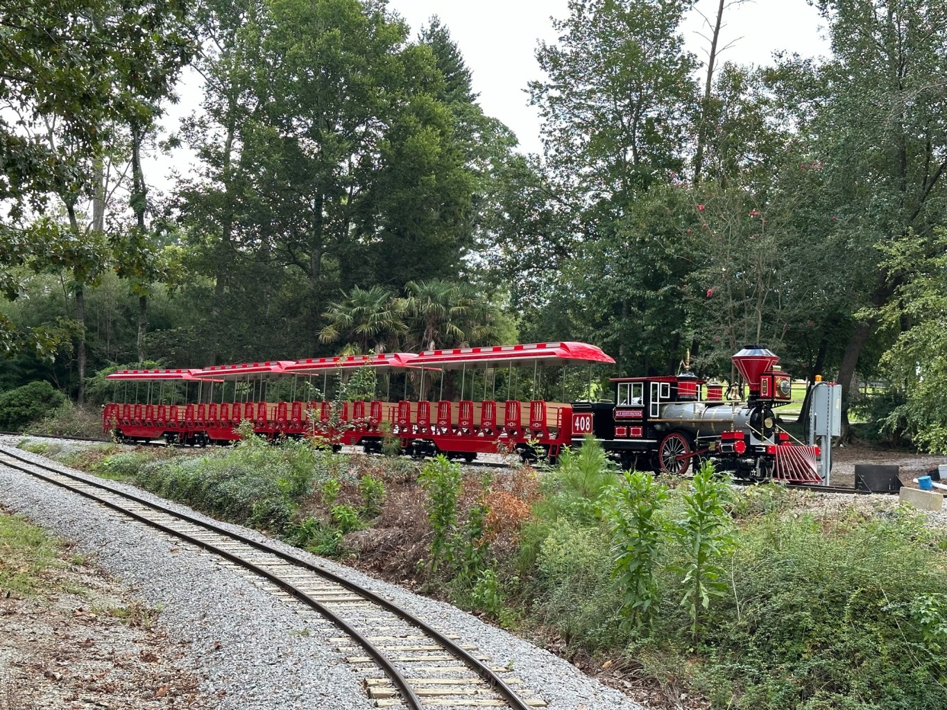 a train traveling down train tracks near a forest